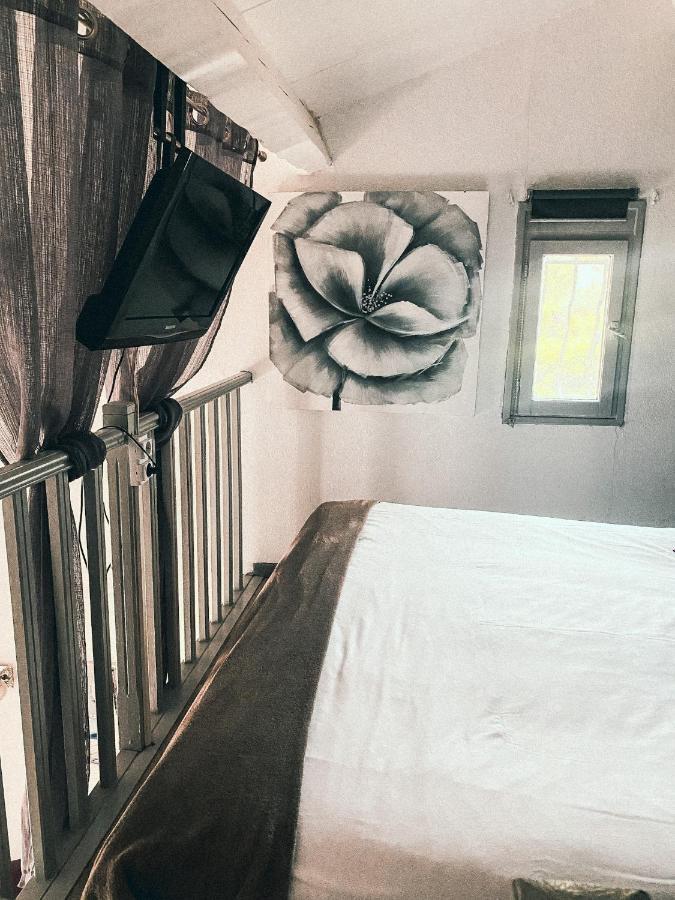 Auberge Des Pins Tourrettes Ngoại thất bức ảnh